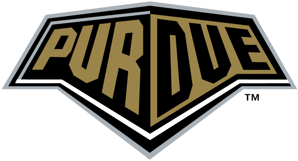 Purdue Boilermakers 1996-2011 Wordmark Logo v5 diy iron on heat transfer